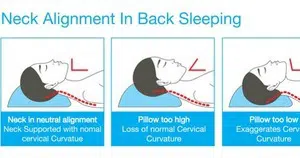what is the best pillow for back sleepers