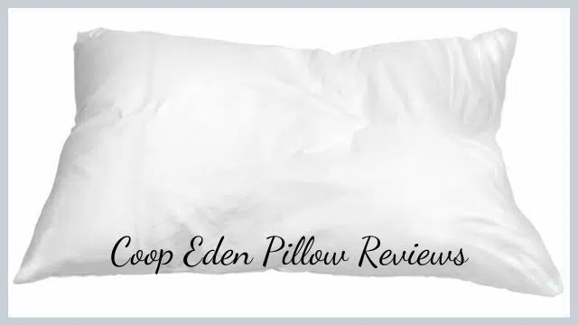 Coop Eden Pillow Reviews