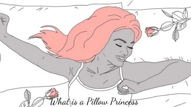 What is a Pillow Princess