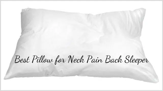 Best Pillow for Neck Pain Back Sleeper